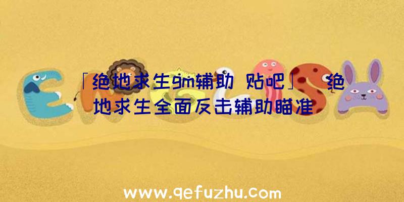 「绝地求生gm辅助